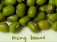 Export Green Mung Beans Whole Beans