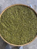 Best Seller Green Mung Beans 3.25mm up Myanmar Origin