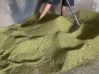Factory Price Small Mung Bean Vacuum Packing Export Green Mung Beans