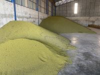 Premium Grade Of Green Mung Bean RL Supply Brand Quality Product From Thailand Manufacture Export Market