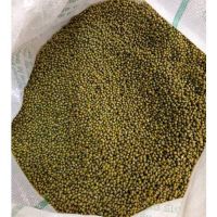 Hot Sale Naturally Dried Premium Grade Wholesale Green Mung Beans