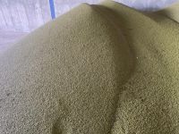 2022 New Crop 100% Pure, Natural & Organic Green Mung Beans Bulk Supplier