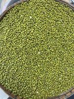 Wholesale Natural Organic High Quality Green Mung Beans Green Vigna Beans Green Gram Beans