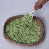 Natural quickly clumping high absorbent tofu cat litter green tea