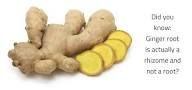 Dry Ginger