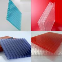 Plastic Sheet for Wall Plastic Net Sheet Building Material