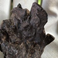 agarwood