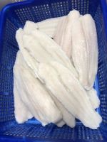 Frozen pangasius fish