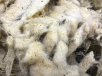 Greasy Sheep Wool