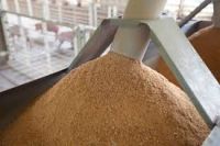 Soybean meal