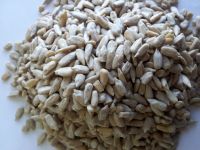 Sunflower Seed Kernel