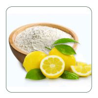 Dried Lemon Juice Powder Manufacture