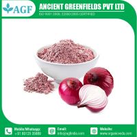 Onion Powder Organic Wholesale supplier