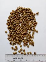 Robusta green coffee beans, grade AA,  Organic cocoa butter, Organic  cocoa powder.