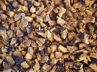 Alaskan Chaga Chunks