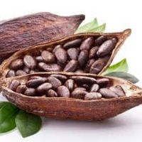 Cocoa Beans