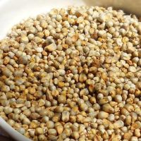 Indian Millet