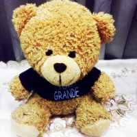 Grande Brown Teddy Bear Small