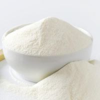 Skimmed Milk Powder