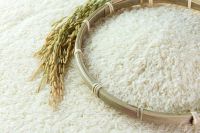 basmati Rice, non basmati rice, Sella Rice, Broken Rice, Variety of rice