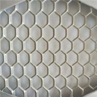 Chinese hot sale high quality aluminum mesh panel