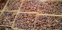 Semi Dry Dates ( Majdoul )