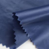 400t High Desinity Nylon Fabric Taffeta With Oil Cal.  Down Proof Fabric For Garment