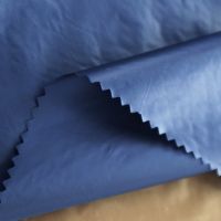 400t High Desinity Nylon Fabric Taffeta With Oil Cal.  Down Proof Fabric For Garment