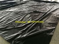 Construction Tarp...