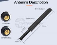 Terminal antenna