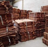 Electrolytic Copper Cathode 99.99 factory Supply
