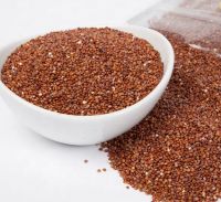 Premium Quality Red Quinoa For Sale