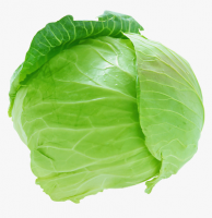 Fresh Cabbage for sale