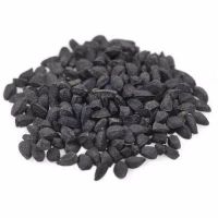 Nigella Sativa High Quality and Wholesale Price for sale