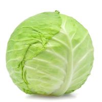 High quality Fresh Cabbage for sale