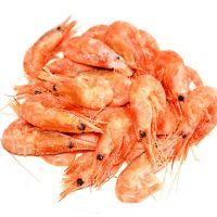 new arrival frozen live frozen prawn/shrimp for sale