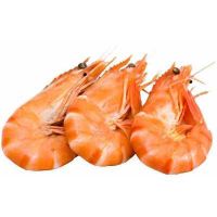 Fresh frozen red prawn with good quality for sale