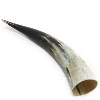 Good Quality Buffalo Horn & Horn Tip/OX Natural Horn ready for export