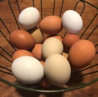 Fresh Eggs Table eggs