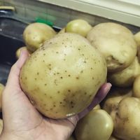 Fresh Potatoes