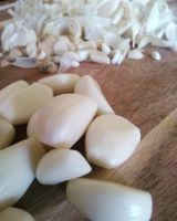 Fresh Pure White Garlic