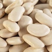 Polish White Kidney Beans