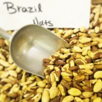 Brazil Nuts