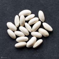 White Kidney Beans Long shape Big White Kidney Beans