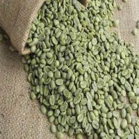 Cheap Green Arabica coffee beans for sale