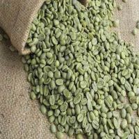 Natural Green Arabica coffee beans for sale