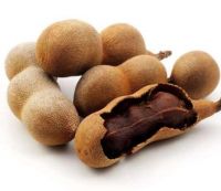 Wholesale for SEEDLESS Tamarind