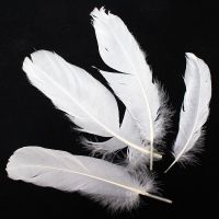 New arrival waterfowl feathers soft warm washed bulk white down filling duck feather for sale