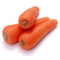 Bulk Cheap Fresh Carrot for sale