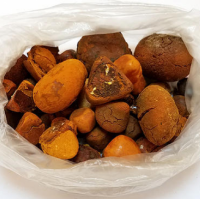 Ox Gallstone for sale